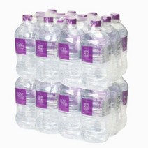 한국청정음료 몽베스트 1L, 48개