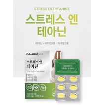 내츄럴플러스 스트레스엔 테아닌 1박스/1개월 긴장완화, 60정(600mg) x 1박스, 1000개
