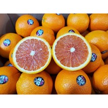 과일꾼 블랙라벨 고당도 오렌지, 고당도 블랙라벨 중과(40과)