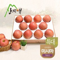 산지애 알뜰 못난이사과특대 4kg 1box / 청송산 미시마 당도선별, 없음, 1개