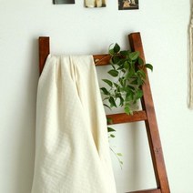 천팜 대폭 크림화이트 하운드투스 476