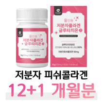 초저분자 물고기 피쉬 콜라겐 글루타치온 효모 히알루론산 엘라스틴 올인원 홈쇼핑 프리미엄 영양제 성분 효능 가격 비교, 13박스, 500mg x 60정 (하루 2정)