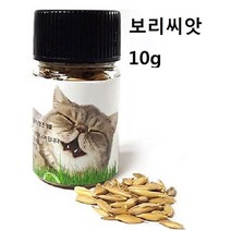 고양이 헤어볼 캣그라스 보리씨앗 10g 집사 선물, 20개