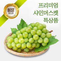 프리미엄 고당도 샤인머스켓, 백화점 납품용 특상품 2.3kg 3송이