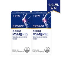 신신제약 프리미엄 MSM플러스 60정 x 2팩 60일분, 없음