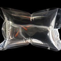 달자샵 *물고기 아님* 물고기 안전운송 충격방지 비닐어항 10P세트 열대어 판매 선물 다용도 두꺼운 비닐, 1세트(10P)