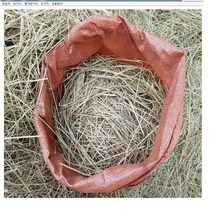 [짱짱마켓] 지푸라기 80리터 근경자재 월동자재 보온용, 1개