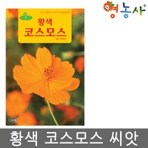 황색 코스모스씨앗 150립, 황코스모스