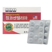 징코센텔리아 기억력 혈행개선, 2개월분(60정)