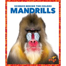 (영문도서) Mandrills Paperback, Pogo Books, English, 9781636903804