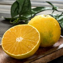 제주 황금향 귤 서귀포 효돈 프리미엄 고당도, 제주도 황금향, 선물세트 3kg (대과)