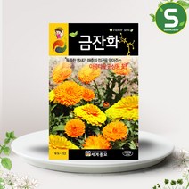 솔림텃밭몰 금잔화씨앗 80립 꽃씨앗 금잔화 꽃씨, 1개