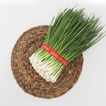 깐쪽파 보성쪽파 국내산 1kg