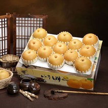 푸드빌리지 [푸드빌리지] 나주 햇배 정품 선물세트 7.5Kg