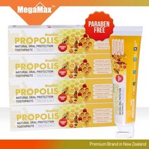 치약 메가맥스 뉴질랜드 프로폴리스 치약 160g x 4개-2802EA, 본상품선택