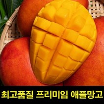 고씨네 특급 애플망고후숙 수입애플망고 애플망고 2KG, 다올1 특급 애플망고 2kg, 다올1 본상품선택
