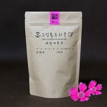 셀러허브 생활리빙 그림봉투화분 패랭이꽃_Nex, 기본