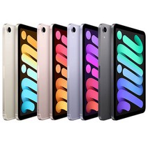 애플 아이패드 6세대 미니 셀룰러 64GB, Purple