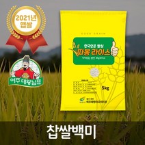 따봉라이스 찹쌀백미 5kg 찰기가득 찹쌀10%백미, 1