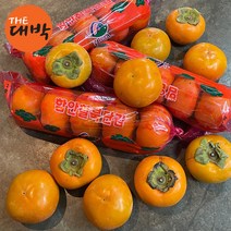 창원 진영 함안 단감 10kg 햇단감, 1box, 봉지단감(대과/50과 내외) 10kg