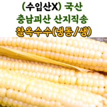 산지직송 충북 괴산 대학 찰 옥수수 냉동옥수수 생옥수수 삶은옥수수, 냉동_삶은찰옥수수_5팩(15개)17CM이상