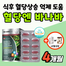 식후 혈당 조절 바나바 혈당엔 상승 억제 케어 관리 에 좋은 영양제 바나바잎 추출물 식약처 인증 공복 당 낮추는 보조제 바나나잎 코로솔산 캐나다 50대 60대 여성 남자 약2개월분, 2개