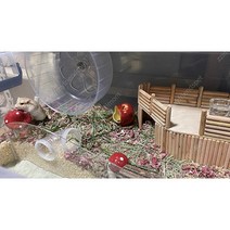 햄스터 은신처 나무 데크 나무 은신처 소사이즈, 1개