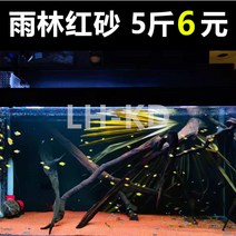 어항 우림사 밑모래 열대어 남미 삼호 자비심 레인보우 레이룽 조경사 레드 화산 모래다 시냇물 4719454900, 레드 불 산사 1근