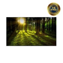 LG 올레드 TV OLED55A2ENA 스탠드&벽걸이 LG기사님 친절설치 상품, 벽걸이형