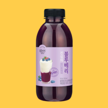 복음자리 진심의 요거트 블루베리청 수제청 과일청 635g 1병 2병, 요거트파우더 480g 1팩