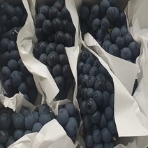 가람상점 씨없는 포도 샤인머스켓 크림슨적포도 애플청포도 블랙사파이어 1kg 2kg 3kg 4kg 8kg, 1박스, 국산씨있는 캠밸포도1kg