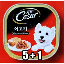 시저 비프 습식사료 100g x 5 + 1 | Cesar Beef Wet Dog Food 100g x 5 + 1 & FREE DELIVERY