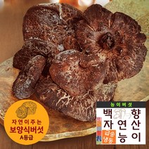 보양식재료[백향송이]자연향가득 자연산A등급 냉동 능이버섯 1kg 효도선물, 능이버섯 A등급 1kg