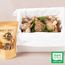 국내산 송화 송고 송화고 송향가 버섯 선물 명품형 500g 1kg 무농약 산지직송 손질버섯, 명품형(선물용) 500g