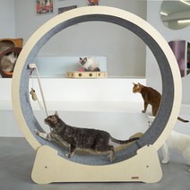 [미아트] 아름데코 티포바 고양이 캣휠 스크래쳐, 원목색