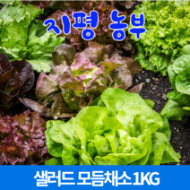 [물맑은 양평] 지평 농부 샐러드 모듬채소(1kg)