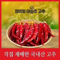 하우스 건조 국내산 장미빛 태양초 보통맛 건고추 10근(6kg), 장미빛 태양초 청양건고추