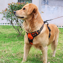 강아지 앞고리 앞섬방지 젠틀 이지워크 하네스 대형견 중형견 진돗개 시바견 h형 목줄 가슴줄 보듬 강형욱, 오렌지