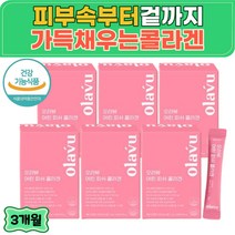 피부좋아지는 어린 피쉬 콜라겐 펩타이드 500달톤 저분자 피부 주름개선 탄력개선 영양제 기능성 건강식품 분말 가루 건강기능식품 피부보습 초저분자 친구 선물 추천