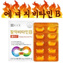 종근당 고함량활력비타민B 노인종합영양제 원데이약국 에너지 보충제 60정 성인 청소년