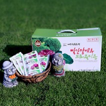 참앤들황토농원 맛있는 양배추즙 100p, 8000ml, 1개