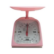 효성정밀계기 주부저울 500g (5g)