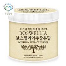 푸른들판 인도산 보스웰리아 추출 분말 170gx1 가루 추출물 100%, 1개, 170g