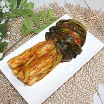 승원식품점 [우리남도] 산지직송 여수 돌산 갓김치 2kg