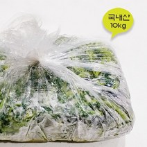 배동바지 국내산 냉동 무청 10kg, 1봉
