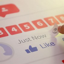 스투피드 SNS 포토프레임 3종, 스티커 추가
