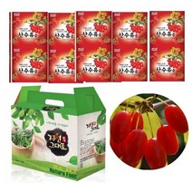 산수유즙 진액 45팩(120ml)/ 산수유 진한엑기스 자연그대로 자연초농산, (1형)산수유즙45팩