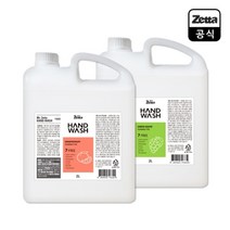 DBK 제타 포밍 핸드워시 대용량 2Lx2 거품 보습 세정제, 제타 포밍 핸드워시 자몽 2Lx2