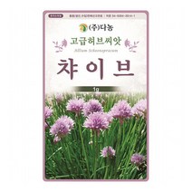 차이브허브(채소겸용)씨앗 1g, 단품