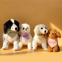 유앤펫 강아지 고양이 순면 네이밍 자수 커스텀 스카프 케이프, 그린(이모티콘2000원)
